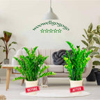 Snake Plant Support Stake - Half Round Peony Stake and Support, Hydrangea Support Cage Ring Stabilizer, Plant Supports for Potted Indoor Plants (4 Pack, 14x8Inch)