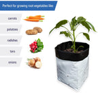 A.A 30 Gallon Grow Bags Black and White Poly Nursery Bags for Plants, Tree Grow, Greenhouse (10 Pack)