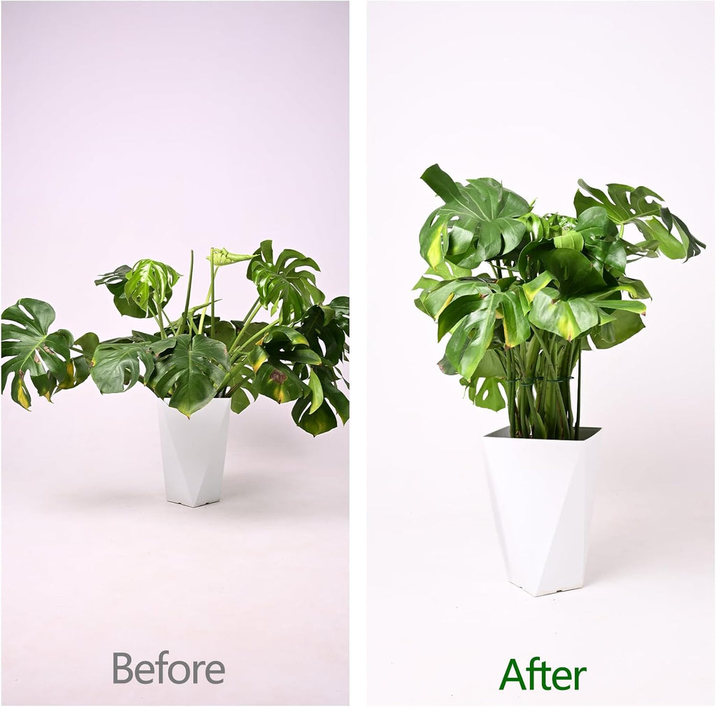 5PCS Monstera Plant Support Hook Green, 5.5IN - Durable Metal Stem Support for Indoor Plants, Adjustable & Easy to Install, Ideal for Monstera, Fishbone Cactus, and Decorative Plant Care