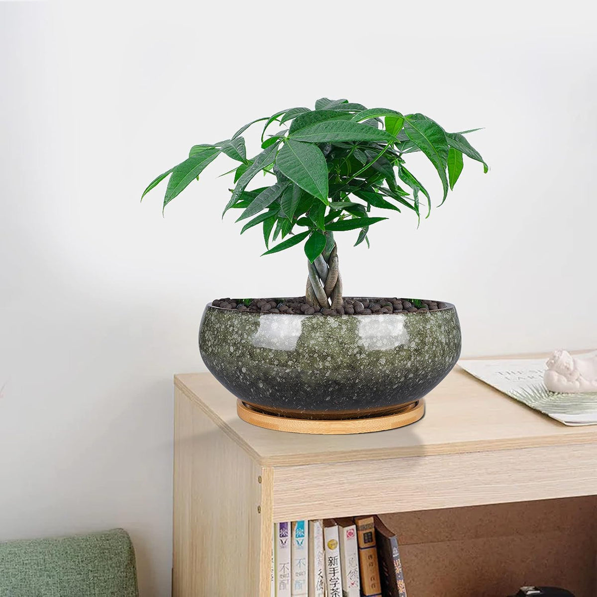 8 Inch Ceramic Bonsai Planter Pot, Glazed Shallow Succulent Planter with Drainage Hole and Bamboo Saucer for Indoor Plants, Brown