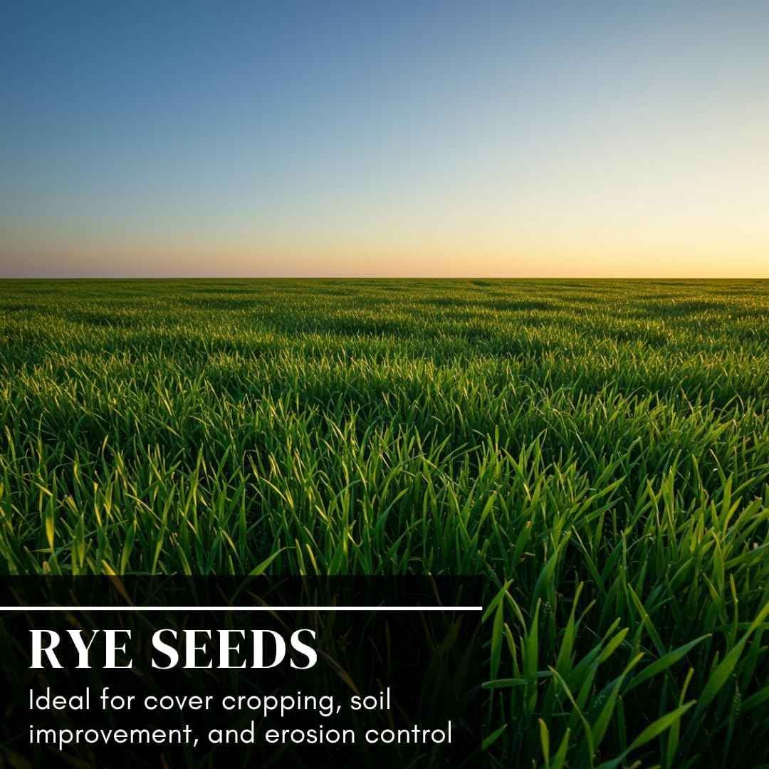 Rye Grain Seeds – 5 lbs – Open-Pollinated Cover Crop and Forage Mix for Soil Improvement, Erosion Control, and Deer Food Plots