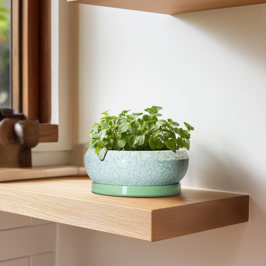 Succulent Pot 6 Inch - Ceramic Bonsai Pots Indoor Outdoor, Shallow Plant Pots with Drainage Hole and Saucer, Small Bonsai Planter, Round Bowl Planter, Desk Decor, Housewarming Gifts, Green
