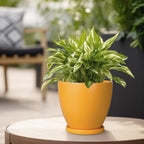 6.8 Inch Plant Pot - Ceramic Planter with Drainage Hole and Saucer, Modern Round Flower Pot, Planters for Indoor Plants, Home Garden Decor, Orange