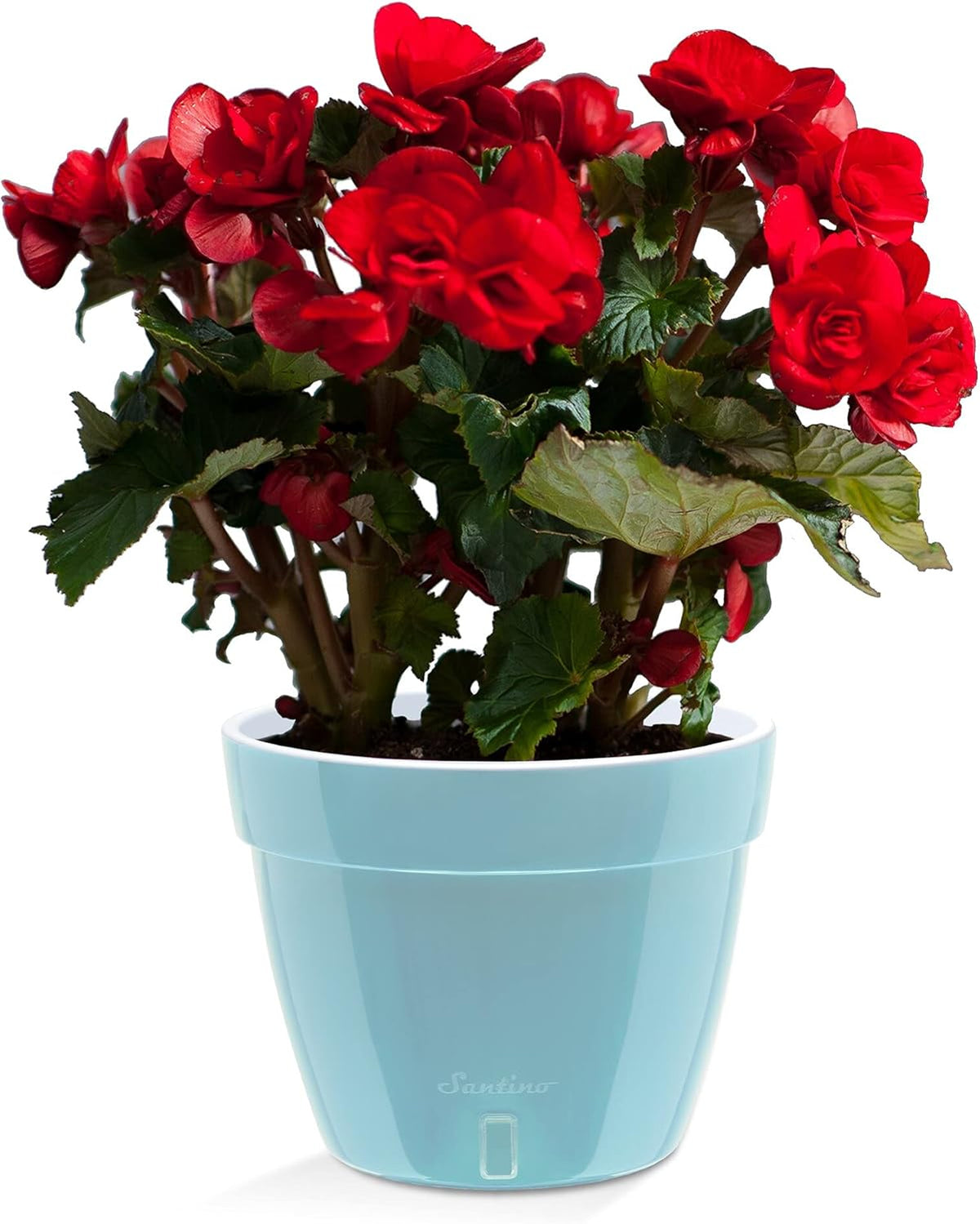 Santino ASTI 7.1 Inch Self Watering Planter Menthol/White for Indoor Plants - Premium Quality Modern Plastic Pot w/Water Level Indicator for All House Herbs, Plants, African Violets and Dahlias