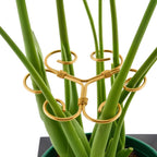 4PCS Iron Monstera Support, Uniquely Designed Plant Support Stakes for Indoor Plants, Stable Plant Stakes and Supports, Turtle Shell Bamboo Clamp Set for Thriving Growth