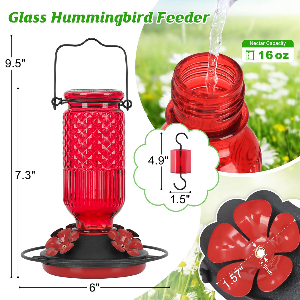 FEED GARDEN Glass Hummingbird Feeder for Outdoors Hanging, 16 oz Leak-Proof Nectar Feeder with Bee Guards & Ant Moat, 4 Metal Flower Feeding Ports, 360° Perch Ring, Easy Refill & Clean, Red