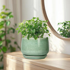 G EPGardening Ceramic Plant Pot - 7 Inch Ceramic Planter for Indoor Outdoor Plants, Flower Pot with Drainage Hole and Tray, Modern Round Planter, Plants Lovers Gifts, Home Garden Decor, Green