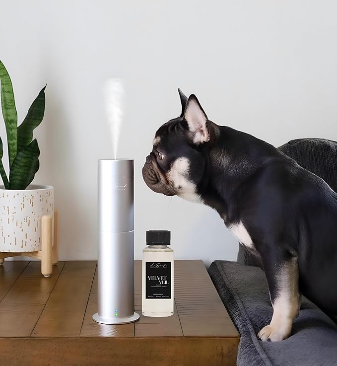 Aroma Scent Diffuser Starter Kit for Up to 1000SQ. FT. Coverage - 120ML Waterless Essential Oil Scent Included - Luxury Aroma Diffuser Ideal for Home, Office & Hotel (Silver, Velvet Veil)