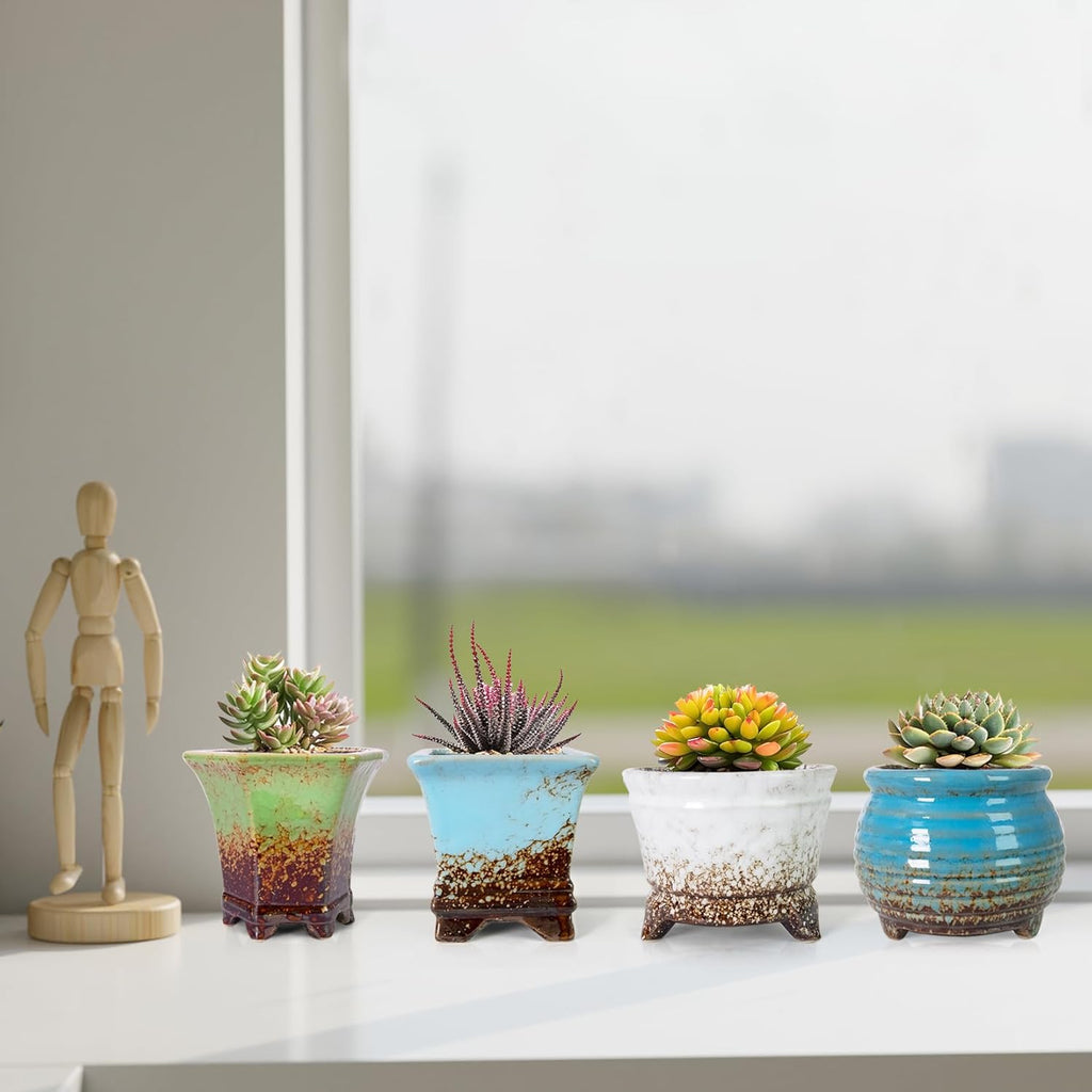 ARTKETTY Succulent Pots - Small Succulent Plant Pot with Drainage Pack of 6, Ceramic Cactus Planter Pots for Indoor Unique Flower Planter Container for Home Office Decor