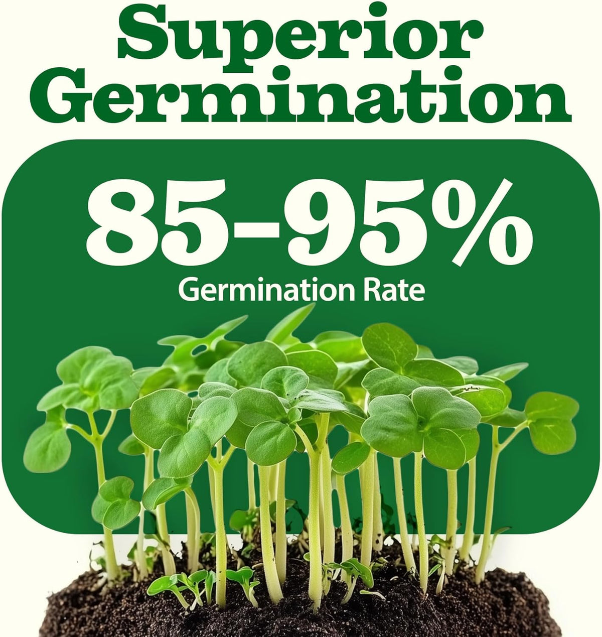 HOME GROWN 𝗨𝗦𝗔 𝗣𝗥𝗘𝗠𝗜𝗨𝗠 55 Vegetable Seeds Pack 28,000+ Non-GMO Heirloom Seeds for Planting Vegetables, Survival Seed Vault, Garden Kit for Spring Fall Winter, Gift for Gardeners