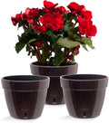 Santino AST 7.9 Inch Self Watering Planter Black-Gold/Black - Set of 3 for Indoor Plants - Premium Quality Plastic Pot with Water Level Indicator for All House Herbs, African Violets and Dahlias