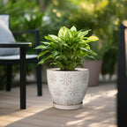 10 Inch Ceramic Planter Pot Large Plant Pot for Indoor Plants Outdoor Round Flower Pot with Drainage Hole and Saucer for Home Garden Decor White