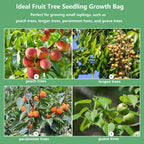 Belit 100 Pcs Plant Nursery Bags, Plastic Seedling Pots Container for Fruit Tree, Flower, Starting saplings, Plant Grow(3.5"x7.6")