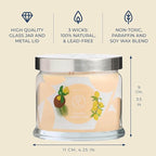 PartyLite Coastal Amber & Shea Scented, Notes of Ylang Flower, Citron, Sweet Coconut & Amber Creme, 13.2oz 3-Wick Jar Candle, 45 Hour Burn Time, Luxurious Fragrance, Ideal for Gifting