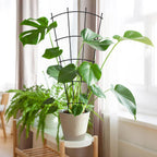 4 Pack 23'' Indoor Plant Trellis for Potted Plants Climbing, Outdoor Metal Garden Trellis Houseplants Flowers Vine Ivy,Fan Shape, Black