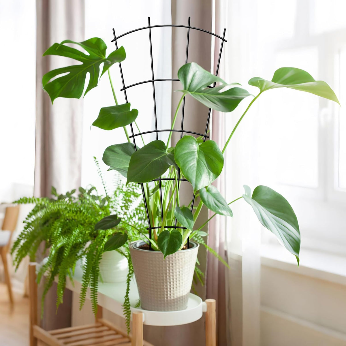 4 Pack 32'' Indoor Plant Trellis for Potted Plants Climbing Outdoor Metal Garden Trellis Houseplants Flowers Vine Ivy,Fan Shape, Black