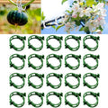 Plant Support Clips Reusable Garden Clips, Secured Plastic Plant Clips, Tomato Support Clips for String Trellis for Climbing Plants Outdoor Indoor Plant Flowers Stem Vine Fixing Clips (100, Green)