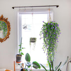 SJL Hanging Greenery 4pcs Realistic Artificial Plants Indoor Artificial Hanging Plants Outdoor Fake Eucalyptus Faux Ivy Plastic Flowers Leaves Decor for Bedroom Porch Wall (Purple)