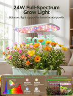 LetPot LPH-Air Hydroponics Growing System Kits, APP & WiFi Controlled Smart Indoor Garden with Adjustable 24W Grow Light Full Spectrum, 10 Pods Planter Indoor Gardening for Gifts, Kitchen, Vegetable