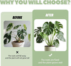 Monstera Plant Support, 16Pcs Plant Stem Support for Indoor Plants - Heavy Sturdy Climbing Plant Stakes for Potted Vines, Monstera, Flowers Green