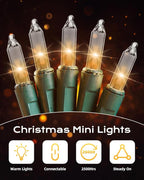 Brightown Clear Christmas String Lights, 100-Count 25ft Incandescent Bulb Mini Lights for Indoor Holiday Decor, Christmas Tree Garland Wedding Party Multi-Use Festival Decoration, Green Wire