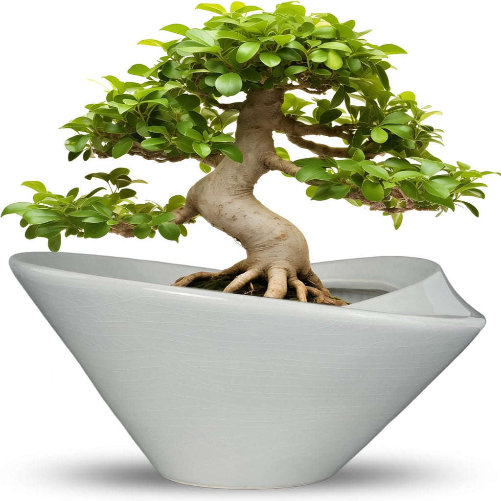 Bonsai Pots 13 Inch - Ceramic Succulent Pots with Drainage Hole Decorative Plant Pot Indoor Large Outdoor Planter Modern Flower Pot for Home Garden Office Room Decor Gray