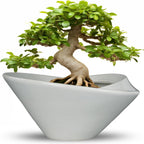 Bonsai Pots 13 Inch - Ceramic Succulent Pots with Drainage Hole Decorative Plant Pot Indoor Large Outdoor Planter Modern Flower Pot for Home Garden Office Room Decor Gray