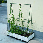 Garden Plant Stakes 24 Inch 2Ft Steel Plant Stick Support, 25 Pack Tomato Stakes for Growing Climbing Plants