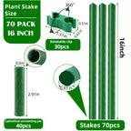 Fabulas Garden Stakes 16 Inch 70 Pack, Diy 4ft 5ft 6ft 7ft 8ft Tomato Stakes Plastic Coated Metal Plant Sticks Stakes Supports with 40 Connectors 30 Rotatable Clips for Indoor Outdoor Plants Vegetable