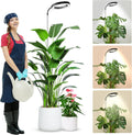 Wolezek Grow Lights for Indoor Plants Full Spectrum, 80 LEDs 3 Colors Grow Light, 65in Large Plant Lights for Indoor Growing with 360°Gooseneck, 6/12/16H Timer, 5 Brightness, Height Adjustable, Black