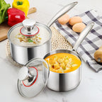 E-far Stainless Steel Saucepan Set - 1Qt & 2 Qt, Triply Sauce Pan Pot with Lid for Cooking Pasta Warming Milk Boiling Water, Small Metal Cookware for Kitchen, Induction Ready & Heavy Duty