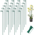 Joyhalo 20 Pack Plant Support Stakes 24 Inch, Plant Stakes, Flower Stakes with 24 Twist Ties, Garden Sticks for Plants Iris, Dahlia, Gladiolus, Amaryllis, Rose, Sunflower, Tomato, Sapling Etc