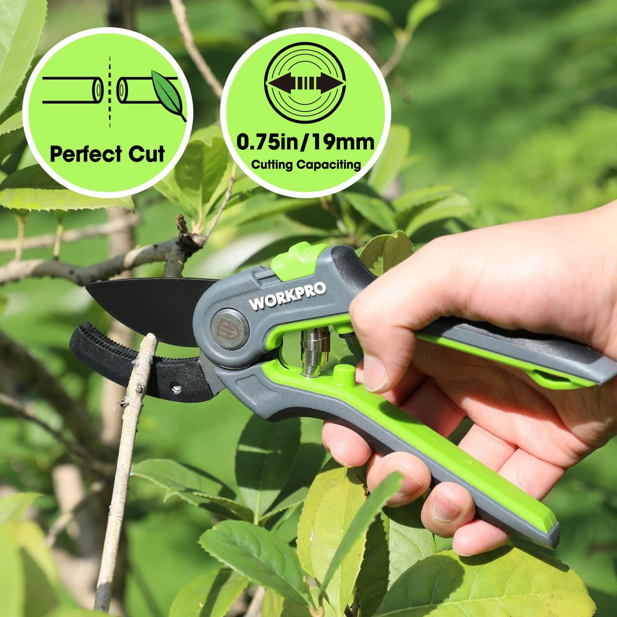WORKPRO Anvil Pruning Shears, 8’’ Professional Gardening Hand Pruner with SK5 Steel Sharp Blades, Ideal Gardening Tool for Cutting and Trimming, Green