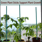 50 Pcs Plant Sticks Green Plant Stakes, Plant Support Garden Stakes for Indoor and Outdoor Plants, GAGINANG Sturdy Garden Wood Bamboo Sticks, Floral Plant Stakes for Garden Potted Plants（15 Inches）