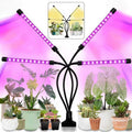 LEOTER Grow Light for Indoor Plants - Upgraded Version 80 LED Lamps with Full Spectrum & Red Blue Spectrum, 3/9/12H Timer, 10 Dimmable Level, Adjustable Gooseneck,3 Switch Modes
