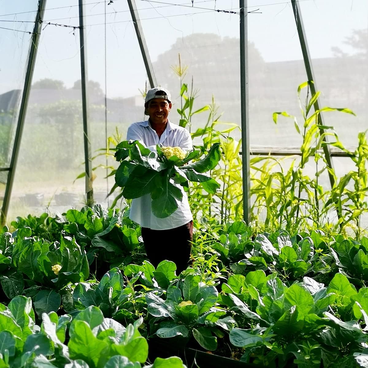 Garden Netting Pest Barrier: Ultra Fine 15'x20' Bug Netting for Garden Protection Row Cover Raised Bed Screen Mesh Greenhouse Mosquito Net, Protecting Tree Plants Vegetable Flowers Fruits