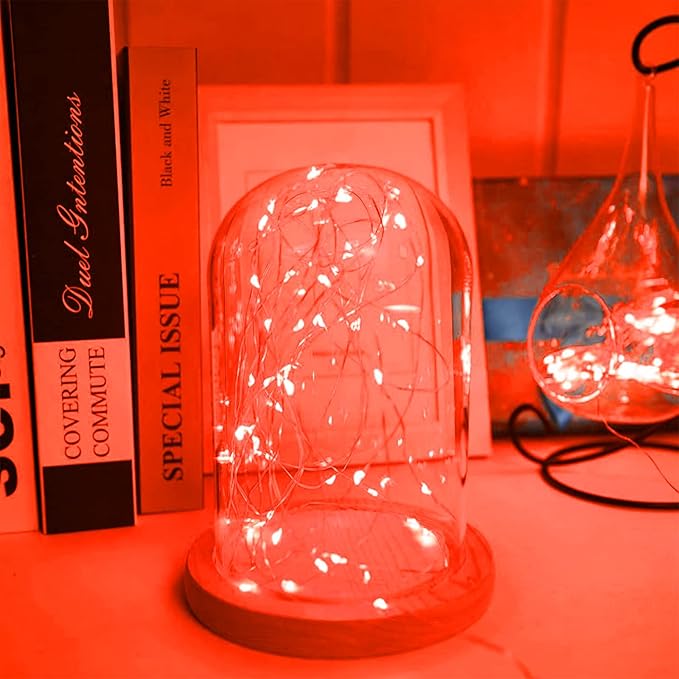 16 Pack 30 Led Fairy Lights Battery Operated String 10 Feet Waterproof Twinkle Mason Jar Silver Wire Firefly for Christmas Red