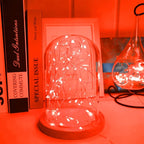 16 Pack 30 Led Fairy Lights Battery Operated String 10 Feet Waterproof Twinkle Mason Jar Silver Wire Firefly for Christmas Red