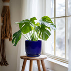 Ceramic Flower Pot 7 Inch - Cylinder 7 Inch Round Planter for Cactus Orchid Plants with Drainage Hole and Saucer, Home Office Room Desk Decor, Blue