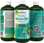 Organic Marina Mist Foliar Spray for Money Tree | Liquid Fertilizer | Micro Nutrients for Vital Health | Liquid Plant Food (16 OZ)