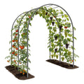 Anleolife 4x6ft Galvanized Garden Arch Trellis, Raised Beds and Vines