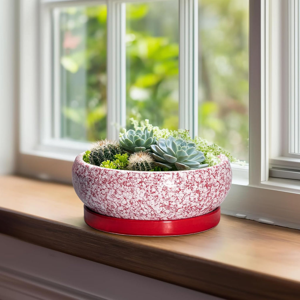 Succulent Pots - 8 Inch Bonsai Pots for Indoor Outdoor, Shallow Ceramic Planter with Drainage Hole and Saucer, Round Flower Succulent Planters, Room Decor, Gifts for Plant Lovers, Red
