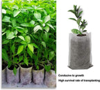 Augshy Grow Bags, 400pcs Plant Bags, Non-Woven Plants Nursery Bags, Seeding Bags, Fabric Seedling Pots Plants, Home Garden Outdoor Greenhouse Supplies 11x11cm/4.2"x4.2"