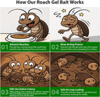 32 Pack Roach Killer Indoor Infestation Roaches Gel Bait Stations, Powerful Cockroach Killer Indoor Home for Roach Infestation, Long-Lasting & Effective Cockroach Gel Bait, Easy to Use & No Mess