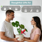 Cardinal Gifts for Women Mom Grandma - Cardinal Decor Plant Lover Mothers Day Birthday Gifts Garden Decor - Hanging Planters for Indoor Outdoor Plants Pots Accessories