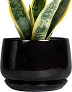 G EPGardening Ceramic Planter 7 Inch - Ceramic Pot for Plants with Drainage and Saucer, Round Plant Pots, Modern Indoor Outdoor Planter, Home Decor, Garden Gifts, Black
