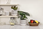 Docrin Plant Pots Ceramic: 6.5+5.3+4 Inch Flower Pots with Drainage Holes for Plants, Modern Flower Pots for Home and Office, Indoor-Outdoor - Set of 3/White and Black