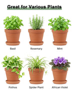Riseuvo 6 Inch Terracotta Pots with Saucers – 4 Pack Medium Clay Flower Pots with Drainage Hole，Clay Pot for Succulents, Cactus and Indoor Plants, Wedding Favors