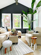 Bird of Paradise - White - Strelitzia Nicholai. (2 White BoP in Sac)