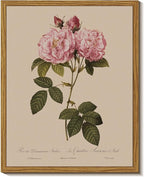 InSimSea Framed Wall Art for Living Room Vintage Rose Flower Paingtings Pictures Wall Decor Aesthetic Floral Art Canvas Print Farm Still Life Artwork Home Decor for Bathrrom Bedroom Shelf Décor 8x10In